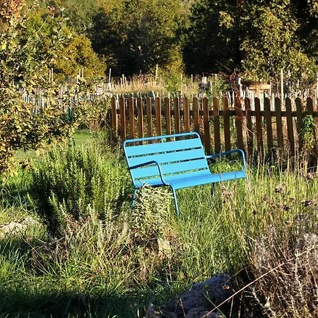 Wooden With Forest Views, Yoga And Nature Villefranche-de-Lonchat